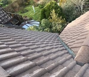 Cleaned a residential roof in Ringwood